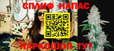 трава Новозыбков