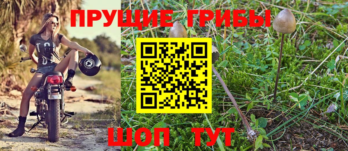 Псилоцибиновые грибы мицелий Реж